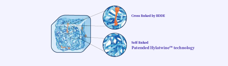 facial filler Technology - Dermax